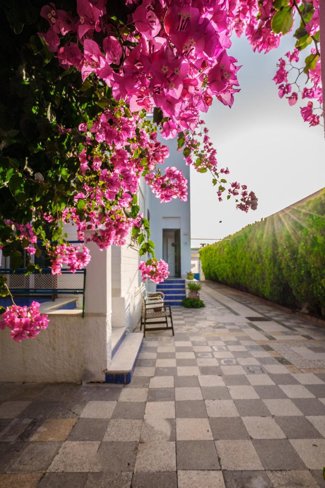 Le Vele Mondello, Villa A Due Passi Dal Mare Exterior foto